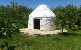Bel-Zhan Yurt Lodge
