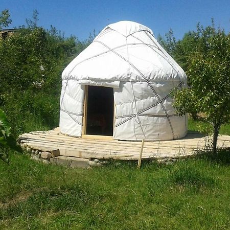 Bel-Zhan Yurt Lodge Grigor'yevka Exterior foto